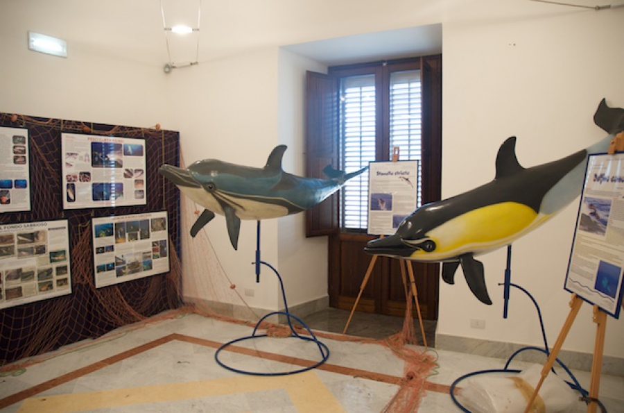 2008 - Rassegna "Comunicare il Mare"